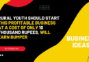 Business Ideas: Rural youth should start this profitable business at a cost of only 10 thousand rupees, will earn bumper